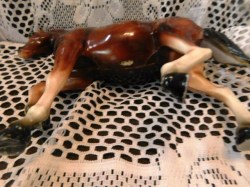 brown horse hk view
